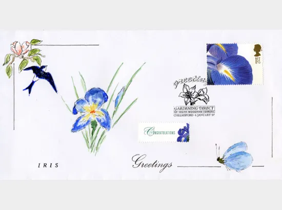 Flower Paintings (Greetings)