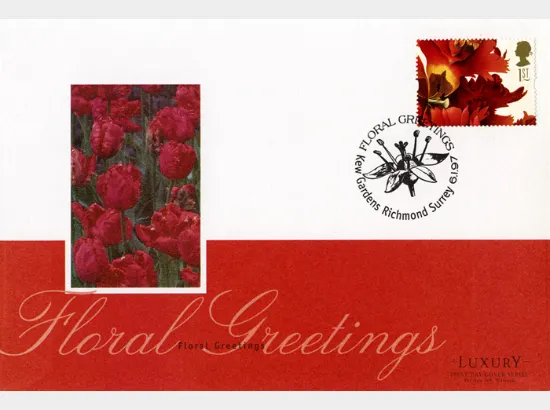 Flower Paintings (Greetings)