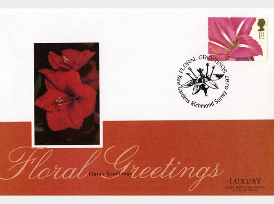 Flower Paintings (Greetings)