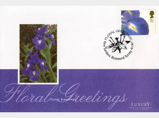 Flower Paintings (Greetings)