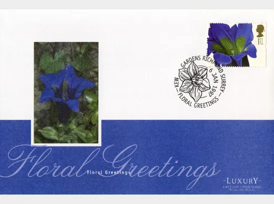 Flower Paintings (Greetings)