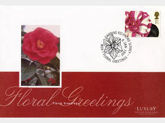 Flower Paintings (Greetings)