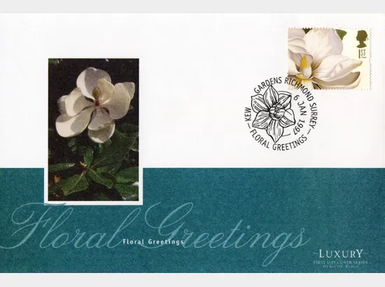 Flower Paintings (Greetings)