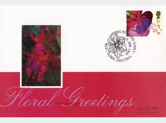 Flower Paintings (Greetings)