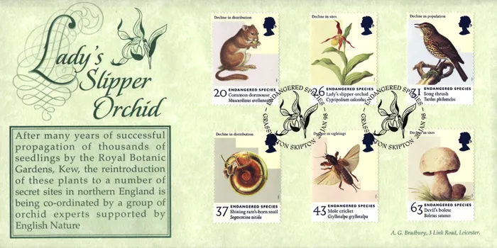 1998---Species-Orcid