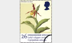 Endangered Species: 26p