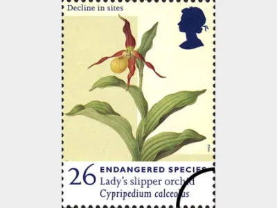 Endangered Species: 26p