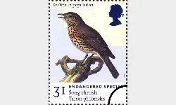 Endangered Species: 31p