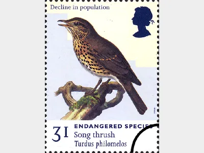 Endangered Species: 31p