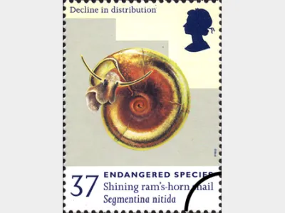 Endangered Species: 37p