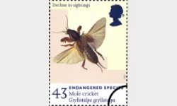 Endangered Species: 43p