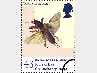 Endangered Species: 43p