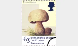 Endangered Species: 63p