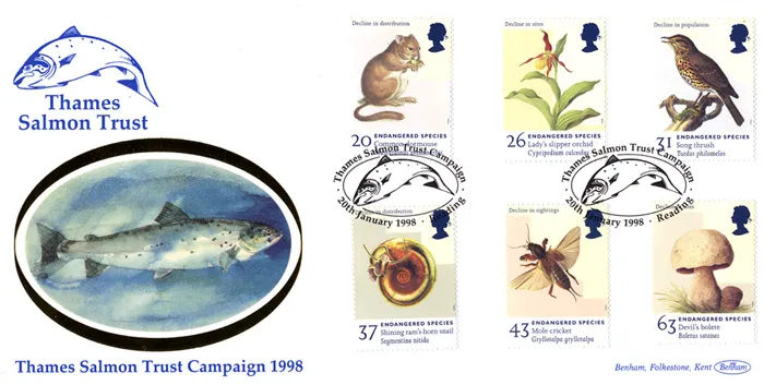 1998_EndSpec_Salmon