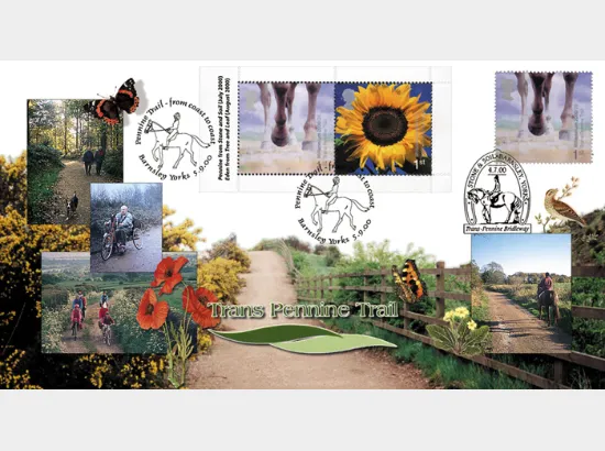 Window: Pennine Trail & Eden Project