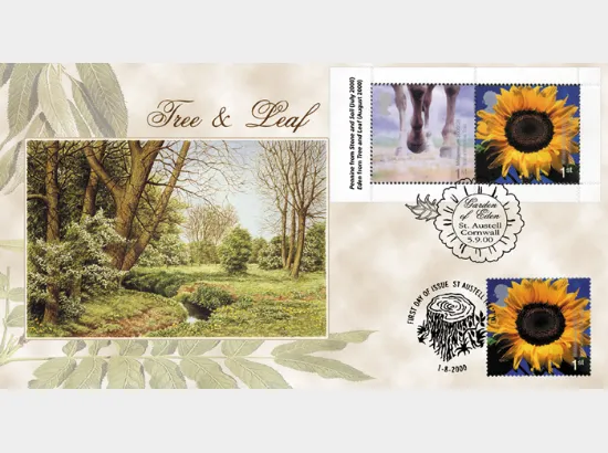 Window: Pennine Trail & Eden Project