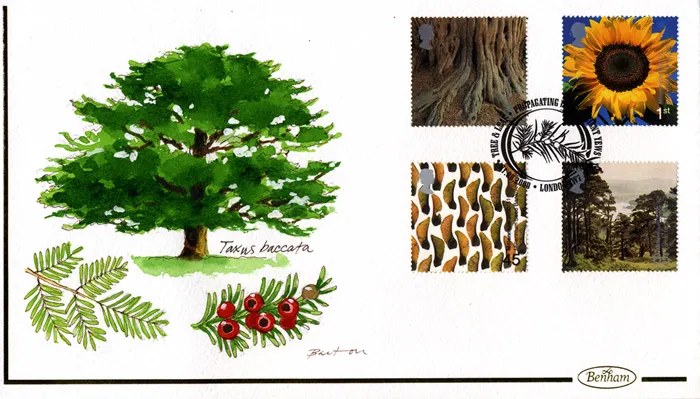 2000_BHP_Tree1
