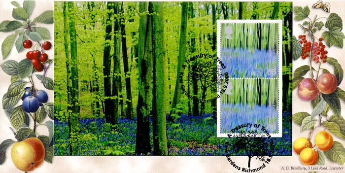 2000_PSB_Trees_3_Brad 2000_PSB_Trees_3_Brad