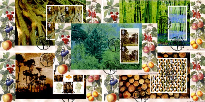 2000_PSB_Trees_Set_Brad