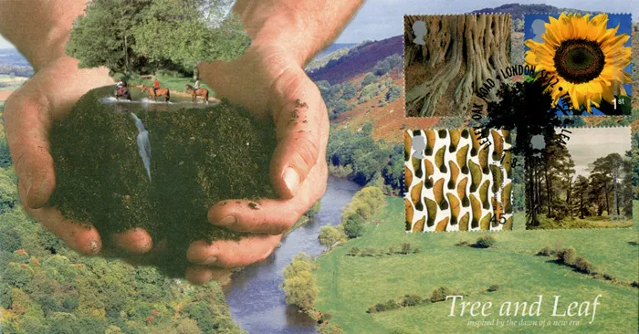 2000_Tree_Scott45