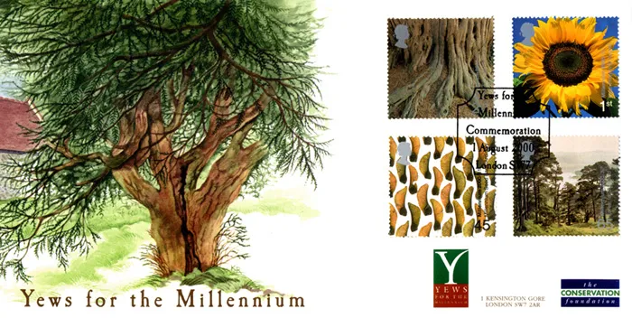 2000b_Tree_CCraft_Yews 2000b_Tree_CCraft_Yews