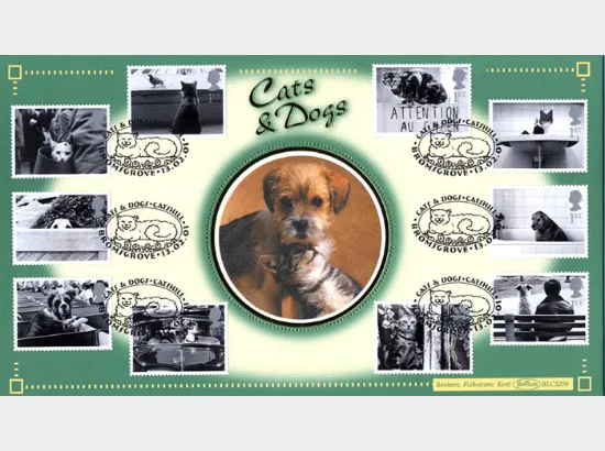 Cats & Dogs