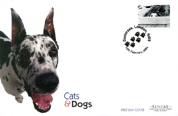 Cats & Dogs Cats & Dogs