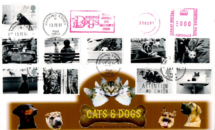 2001_Pets_DiscoverDogs