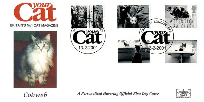 2001_Pets_YourCat 2001_Pets_YourCat
