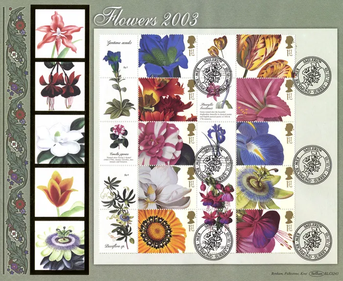 2003_BLCS243_Flowers
