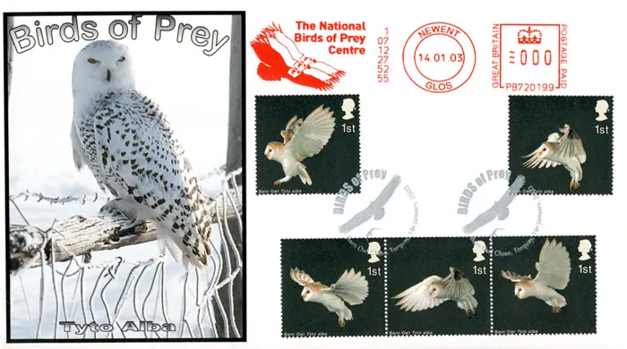 2003_Birds_Owlmm 2003_Birds_Owlmm