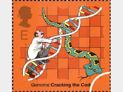 DNA: E