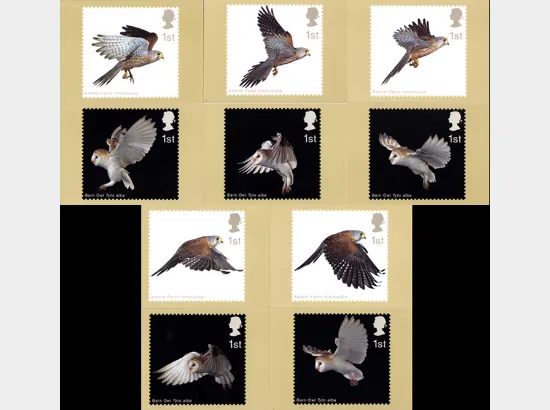 Birds of Prey