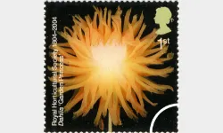 Royal Horticultural Society: 1st