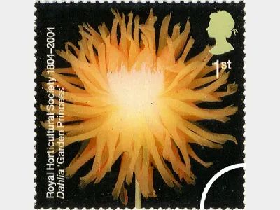 Royal Horticultural Society: 1st