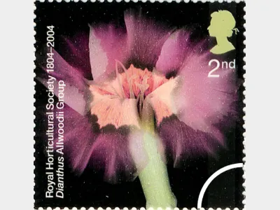 Royal Horticultural Society: 2nd