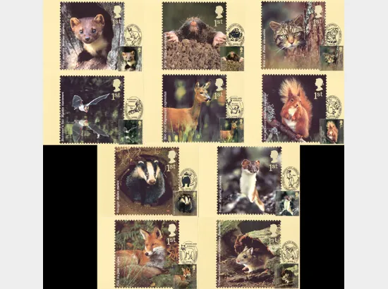 Woodland Animals