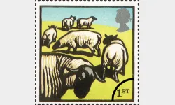 Farm Animals: 1st