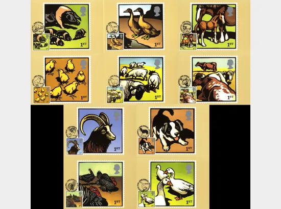 Farm Animals