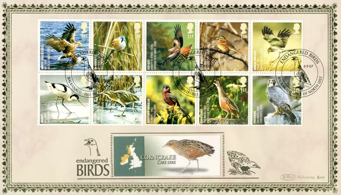 2007_Birds_BLCS370