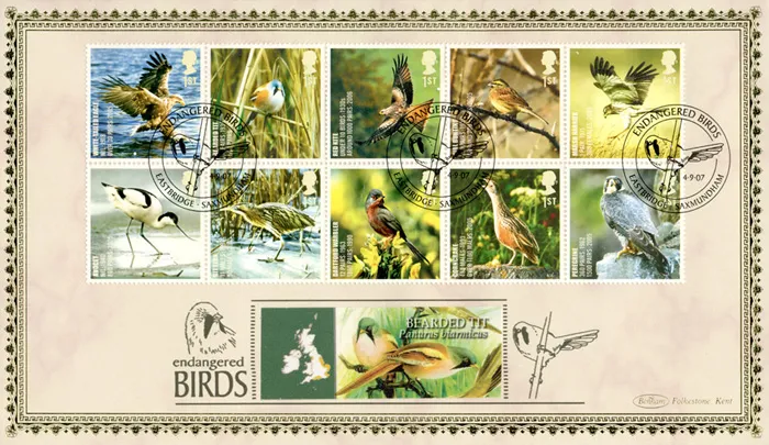 2007_Birds_BLCS370b 2007_Birds_BLCS370b