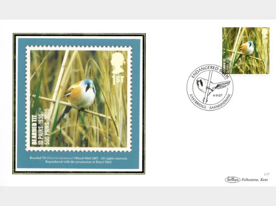 Birds (Endangered Species)