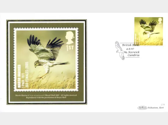 Birds (Endangered Species)