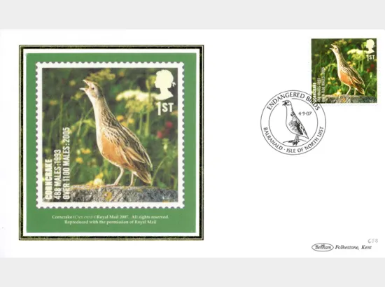 Birds (Endangered Species)