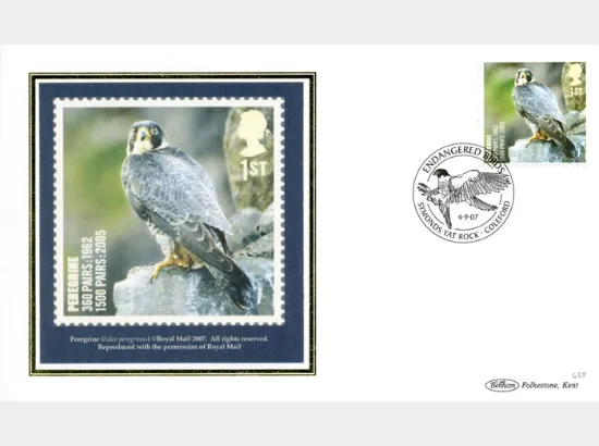 Birds (Endangered Species)