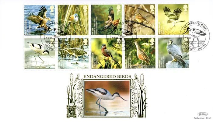 2007_Birds_Gold370 2007_Birds_Gold370