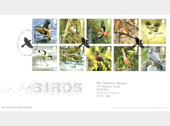 Birds (Endangered Species)