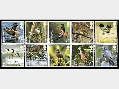 Birds (Endangered Species)