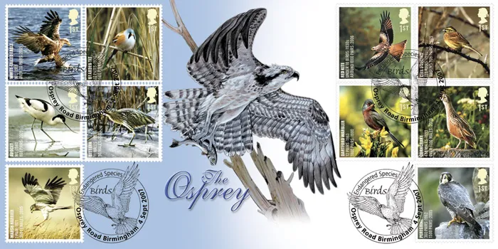 2007_Birds_Sov 2007_Birds_Sov