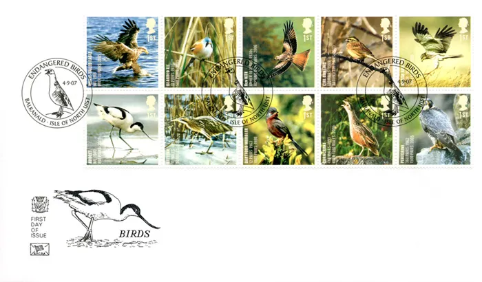 2007_Birds_Stu_hs 2007_Birds_Stu_hs